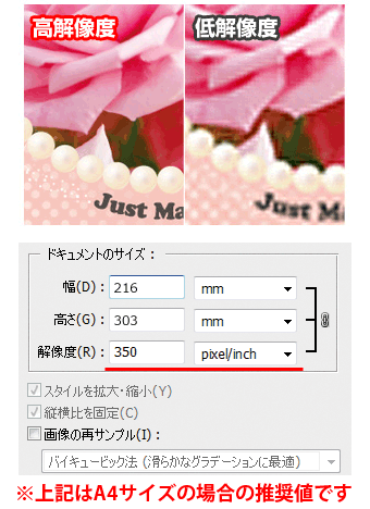 解像度は原寸で350dpi以上が推奨です。